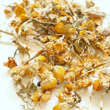 Load image into Gallery viewer, Silk Aromatherapy & Crystal Womb Pillow